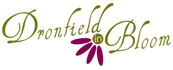 Dronfield in Bloom logo