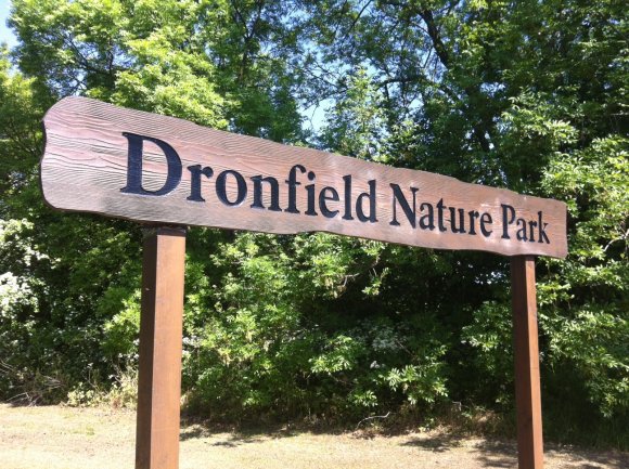 Dronfield Nature Park