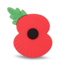 Remembrance Day Commemorations - Sunday 12th November 2023